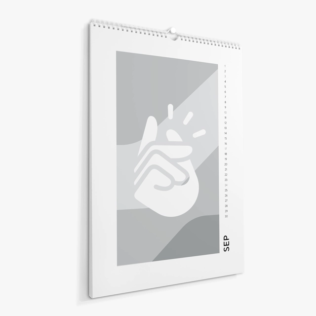 Wall Calendar (2024) (Generic brand) 17528