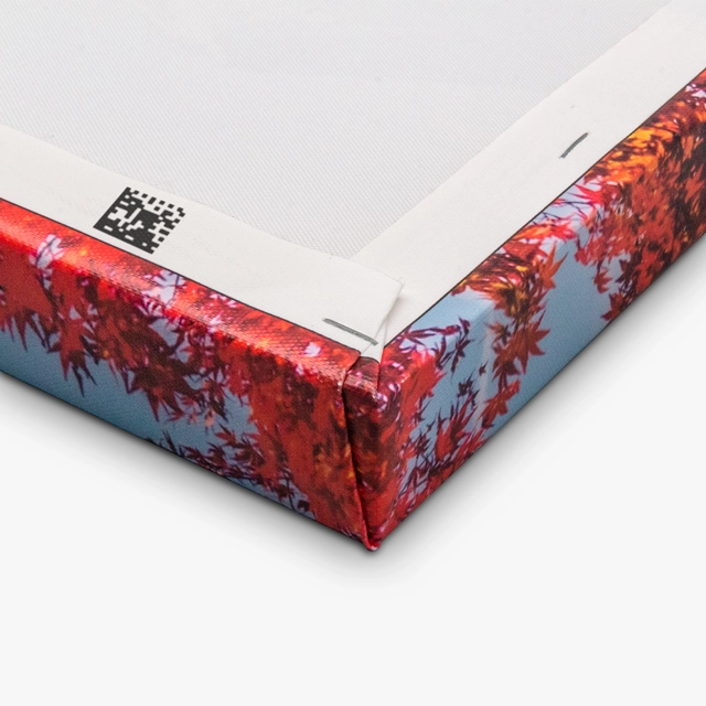 Canvas Stretched, 0.75" (Generic brand) 18967