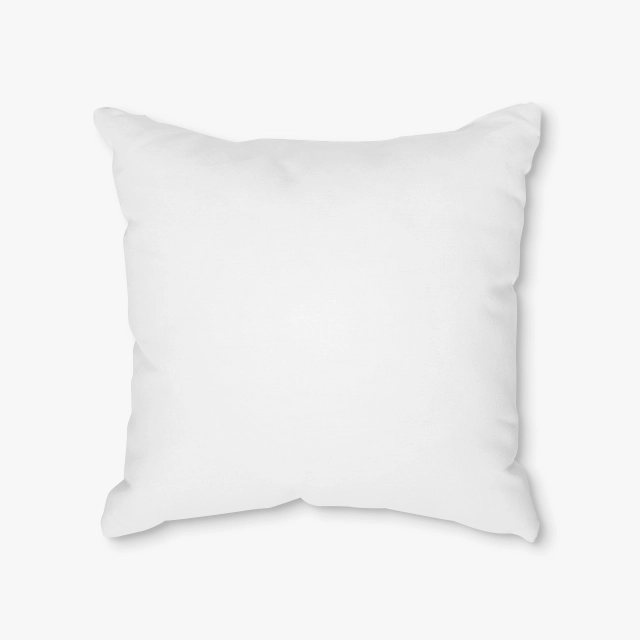 Outdoor Pillows (Generic brand) 29851