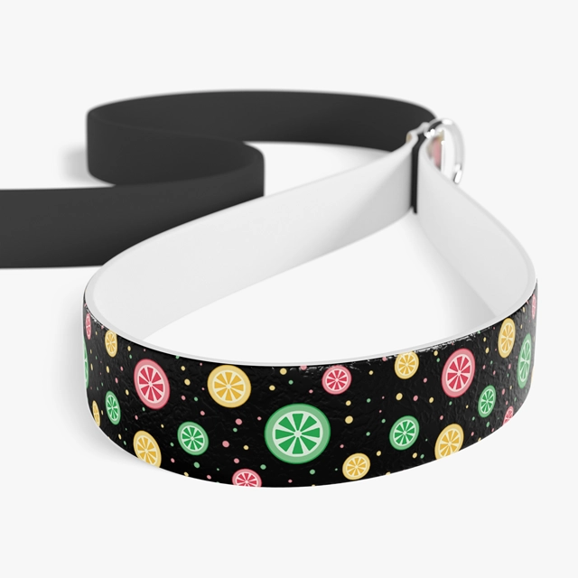 Leash (Generic brand) 23484