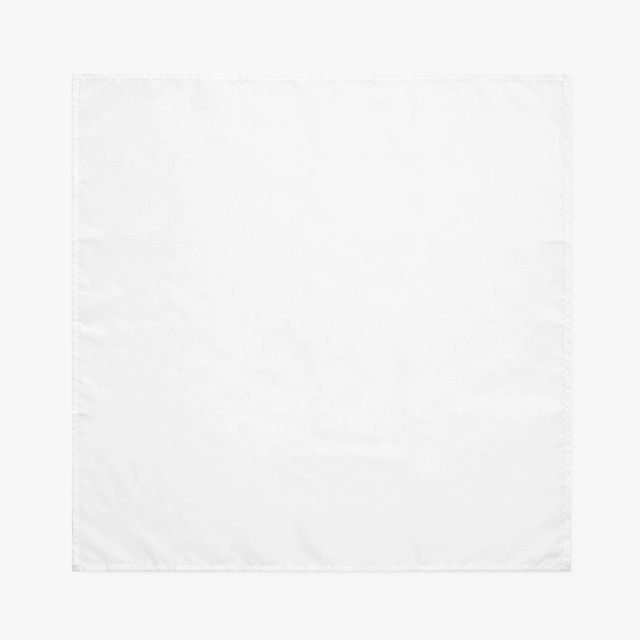 Napkins (Generic brand) 29211