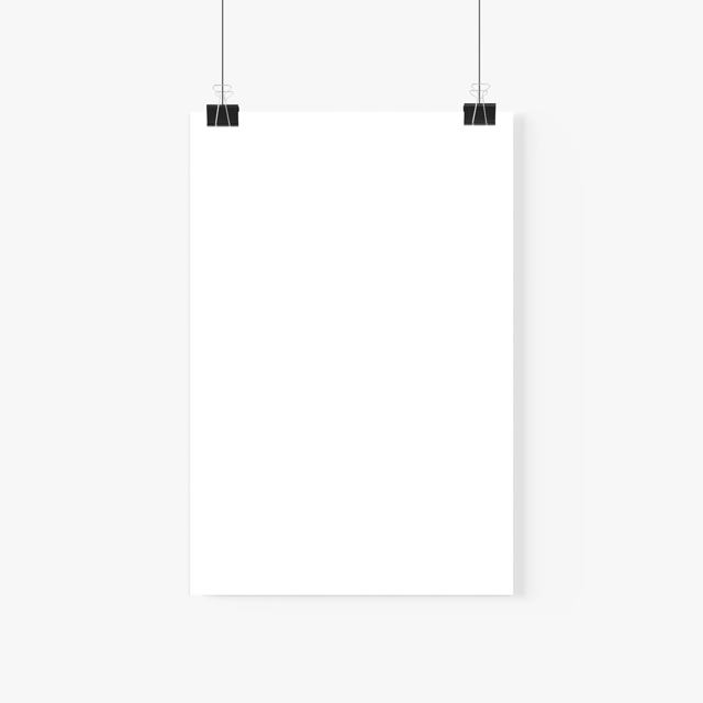 Rolled Posters (Generic brand) 28691