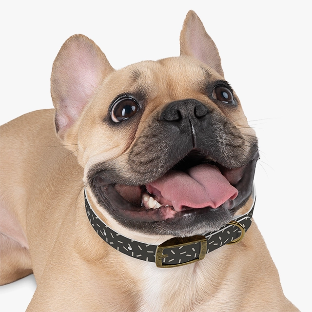 Dog Collar (Generic brand) 23521