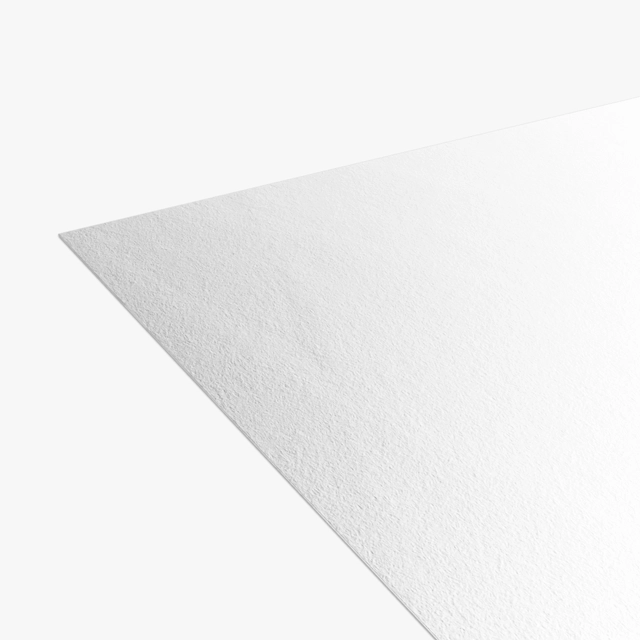 Rolled Posters (Generic brand) 28693