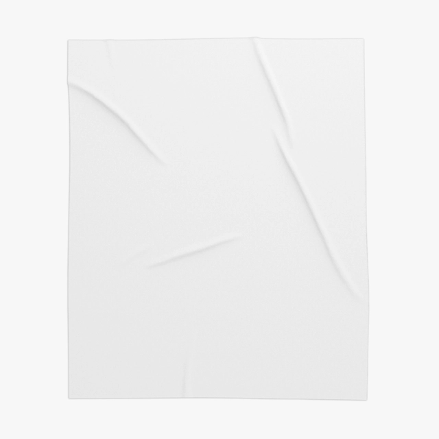 Sherpa Blanket (Generic brand) 29240