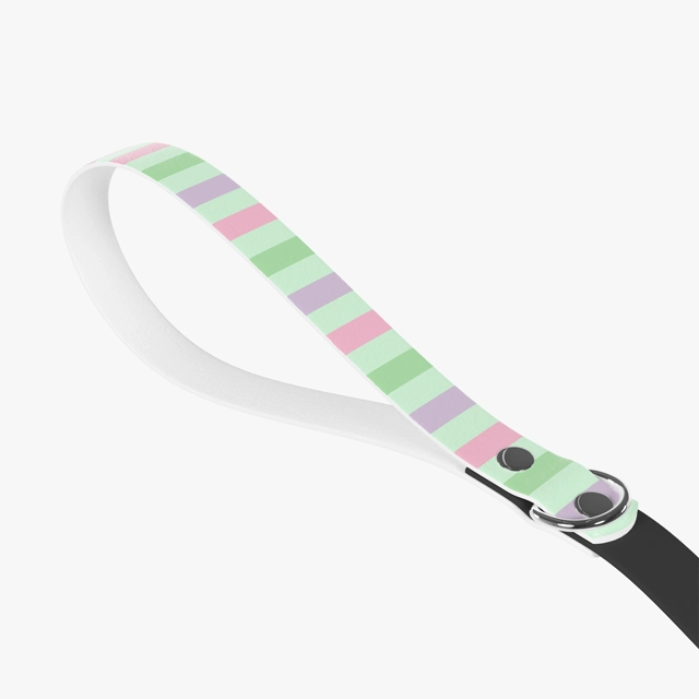 Leash (Generic brand) 23483