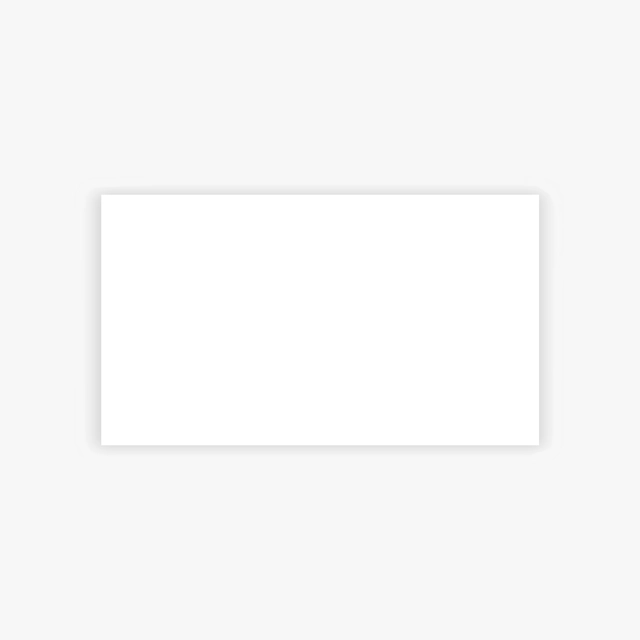 Business Cards (Generic brand) 22829