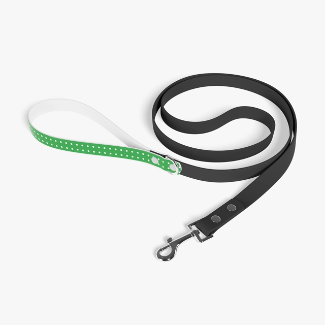 Leash (Generic brand)