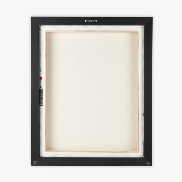 Matte Canvas, Black Frame (Generic brand) 28700