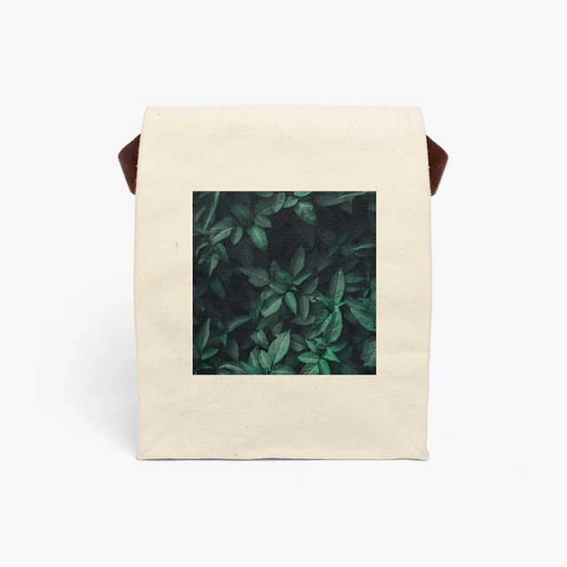 Canvas Lunch Bag With Strap (Generic brand) 27084