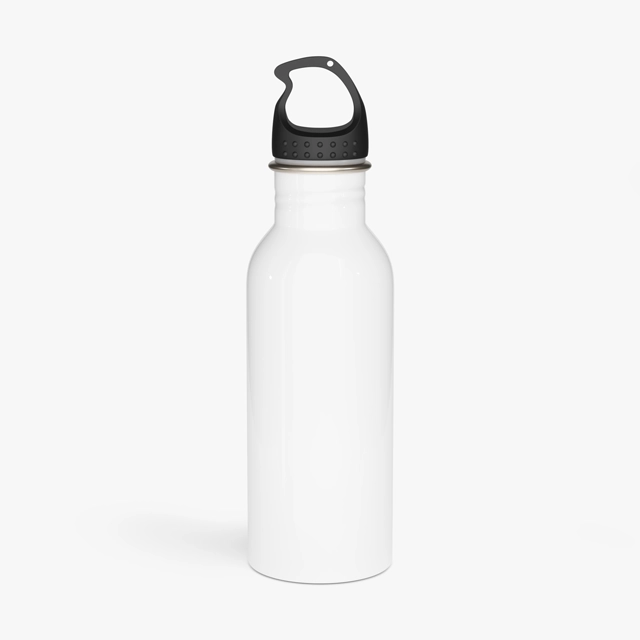 Stainless Steel Water Bottle (Generic brand) 26399